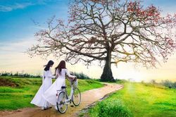 Trên những dặm dài