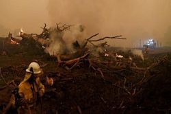 Australia bất ngờ đón 'cơn mưa vàng' lớn kỷ lục trong 20 năm