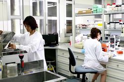 Xuyên Tết, trắng đêm để nuôi cấy và phân lập thành công virus corona mới