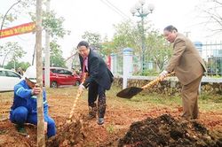 Quảng Trị, mùa Xuân trồng rừng