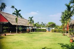 Khốn đốn vì ra ở riêng giữa mùa dịch corona