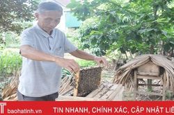 Kênh tín dụng thiết thực của hội viên nông dân Hà Tĩnh