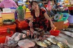 Người phụ nữ xẻ thịt rùa xanh bán ở chợ Kiên Giang gây phẫn nộ