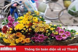 Nhộp nhịp chợ Rằm tháng Giêng