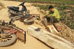 Nhóm chở gỗ lậu tấn công kiểm lâm khi bị phát hiện