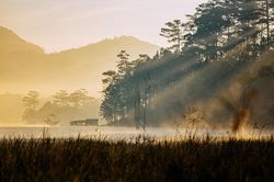 Hồ Tuyền Lâm- Vẻ đẹp nguyên sơ như hồ ngọc