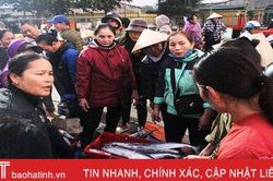 Hải sản Hà Tĩnh vừa lên bờ đã 'theo' người đến chợ