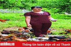 Người phụ nữ vượt khó vươn lên làm giàu