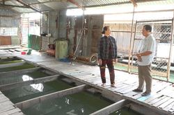 Hồng Ngự: Kiểm tra cá nuôi vèo, bè trên sông Cái Vừng chết hàng loạt