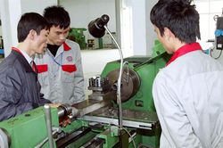 Thu thập thông tin về thị trường lao động Hà Nội năm 2020