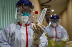 Kỳ vọng vào công hiệu của thuốc chống vi rút remdesivir