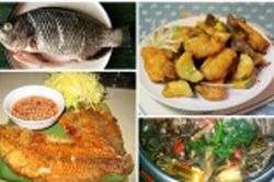 Mẹ trổ tài làm 3 món hấp dẫn từ cá rô phi thơm ngon đậm đà, bao nhiêu cơm cũng hết