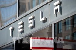 Tesla có thể nhận được hỗ trợ tài chính cho nhà máy xây dựng tại Đức