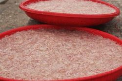 Được mùa ruốc biển đầu năm, ngư dân Hà Tĩnh kiếm tiền triệu mỗi ngày