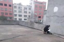 Lên sân thượng ké Wi-Fi hàng xóm để học bài giữa dịch cúm corona
