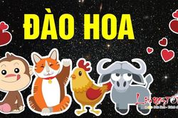 4 con giáp đào hoa, hạnh phúc ngập tràn trong ngày Valentine 2020