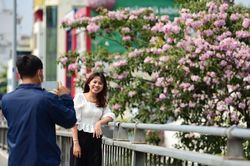 Hoa kèn hồng nở rực trên phố Sài Gòn