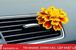 Cách khử mùi khó chịu trong ôtô