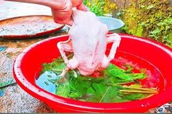 Dùng 1 nắm lá đu đủ nhổ lông vịt siêu nhanh, không dính một cọng lông măng lại hết sạch mùi hôi