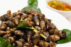 Tuyệt chiêu để sò, ốc, nghêu nhả hết đất cát và chất nhờn ai cũng nên biết