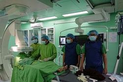 Đặt máy tạo nhịp tim tạm thời cho cụ bà 98 tuổi chảy máu dạ dày