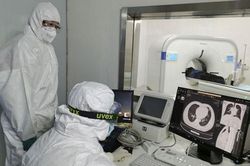 'Kịch bản' nào sẽ xảy ra với dịch bệnh virus Corona?
