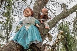 Câu chuyện đằng sau đảo búp bê ma ám