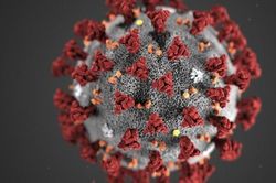 Dịch bệnh do virus corona: WHO cảnh báo nguy cơ lây lan ở châu Âu