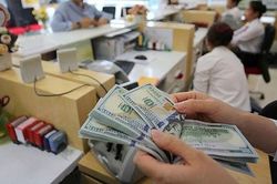 Cần thiết nhưng tại sao vẫn chần chừ?