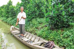 Trồng mít Thái kết hợp nuôi cá cho thu nhập cao