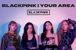Báo Hàn đưa tin BLACKPINK sẽ thực hiện dự án comeback toàn cầu, YG lên tiếng