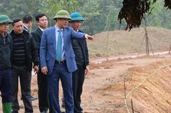 Kiểm tra công tác chỉnh trang Khu di tích lịch sử Đền Hùng