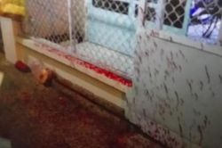 'Khủng bố' người sống để đòi nợ người chết