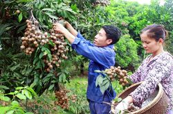 Bài cuối: Cốt lõi là nâng cao chất lượng sản phẩm