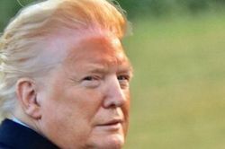 Ảnh Tổng thống Trump 'cháy nắng' gây bão mạng