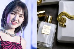 Wendy (Red Velvet) và dàn mỹ nhân Hàn Quốc đang dùng nước hoa gì?