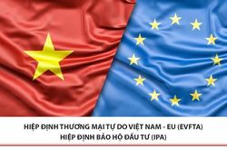 Nghị viện châu Âu chính thức phê chuẩn hiệp định EVFTA và EVIPA