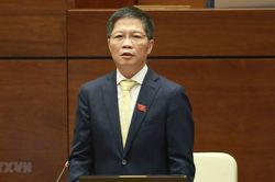 Bỏ phiếu phê chuẩn EVFTA: Thể hiện sự tin cậy giữa Việt Nam và EU