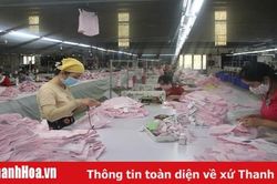 Phát triển doanh nghiệp: Số lượng cần đi đôi với chất lượng