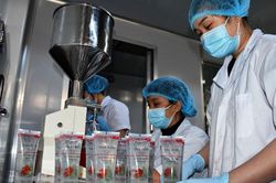 Mỗi ngày sản xuất 10.000 chai Gel tràm kháng khuẩn