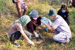 Nhật ký trẻ : 'Đi tu đầu xuân' thật thảnh thơi…