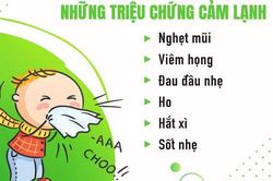 Thay đổi thói quen để ngừa cảm lạnh
