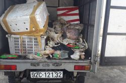 Bắt quả tang xe tải chở thịt đông lạnh thối rữa đổ ra môi trường