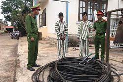 Khởi tố hai đối tượng cắt trộm cáp viễn thông