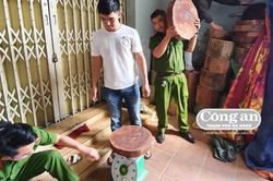 Gỗ không nguồn gốc