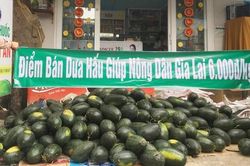 Doanh nghiệp Hàn Quốc mở chiến dịch giải cứu nông sản Việt
