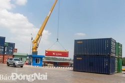 Tăng nội lực, nắm thời cơ