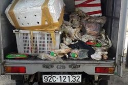 Bắt quả tang vụ đổ thịt đông lạnh thối rữa ra môi trường
