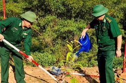 Hưởng ứng Tết trồng cây đời đời nhớ ơn Bác Hồ
