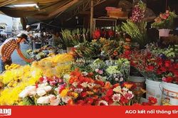 Đón Valentine trong mùa dịch bệnh